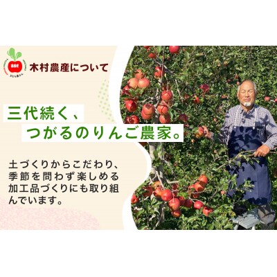 木村農産のサンふじ 約3kg (9から10玉) [0947]