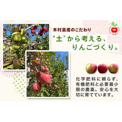 木村農産のサンふじ 約3kg (9から10玉) [0947]