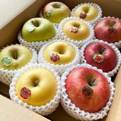 木村農産の人気の3種セット約3kg 10個入り [0948]