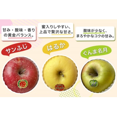 木村農産の人気の3種セット約3kg 10個入り [0948]