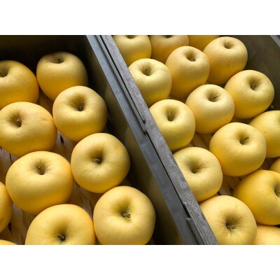 木村農産の人気の3種セット約3kg 10個入り [0948]