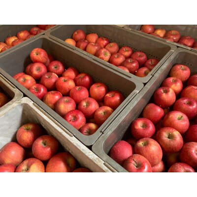 木村農産の人気の3種セット約3kg 10個入り [0948]