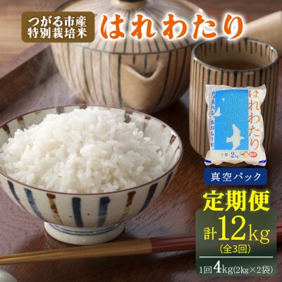 定期便 特別栽培米 真空パック はれわたり 計12kg [0975]
