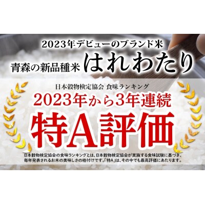 定期便 特別栽培米 真空パック はれわたり 計12kg [0975]