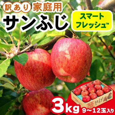 訳あり サンふじ スマートフレッシュ3㎏ [0794]