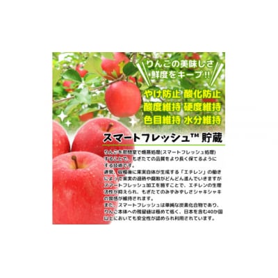 訳あり サンふじ スマートフレッシュ3㎏ [0794]