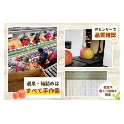 訳あり サンふじ スマートフレッシュ3㎏ [0794]