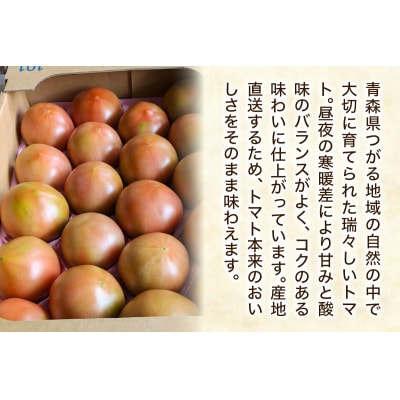 つがるの新鮮トマト 約4kg [1004]