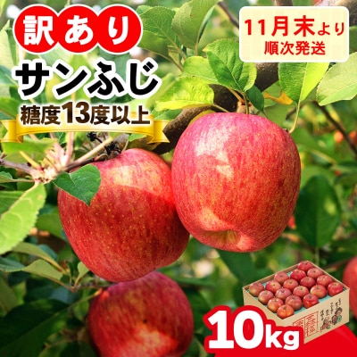 [訳あり] りんご サンふじ 10kg  [1012]