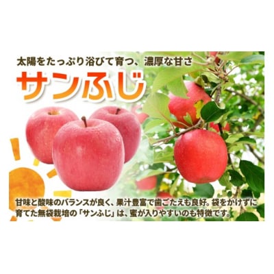 [訳あり] りんご サンふじ 10kg  [1012]