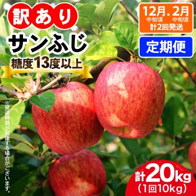 [訳あり] [定期便]  りんご サンふじ 10kg [1016]