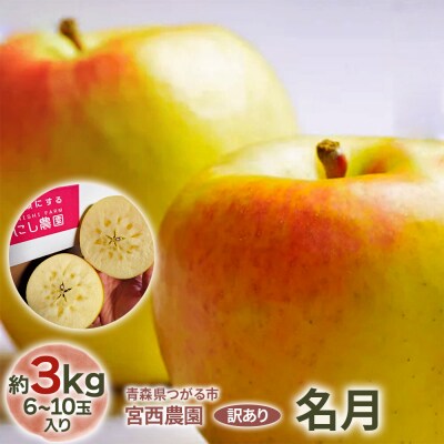 [訳あり] 名月【約5kg 12から18玉入り】[1051]