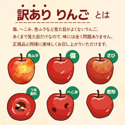 [訳あり] 王林【約3kg 6から10玉入り】[1054]