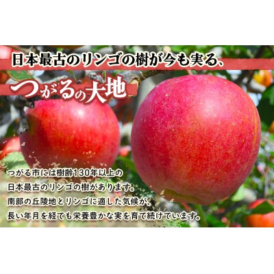 [訳あり] 王林【約3kg 6から10玉入り】[1054]