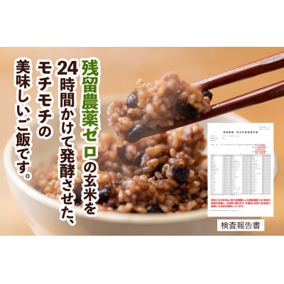 青森県産玄米 藤農園の美食米 発芽酵素玄米ごはん (10パック 計1250g) [1065]