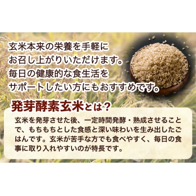青森県産玄米 藤農園の美食米 発芽酵素玄米ごはん (10パック 計1250g) [1065]
