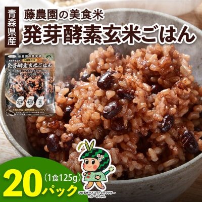 青森県産玄米 藤農園の美食米 発芽酵素玄米ごはん (20パック 計2500g) [1066]