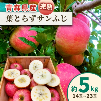 完熟!葉とらずサンふじ 5kg [1087]