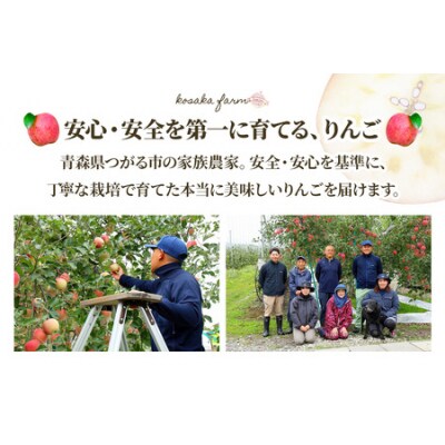 完熟!葉とらずサンふじ 10kg [1088]