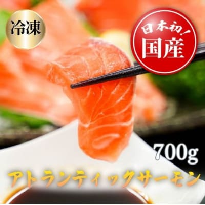 【6月27日(金)発送】日本初!今話題の国産アトランティックサーモン【冷凍】700g
