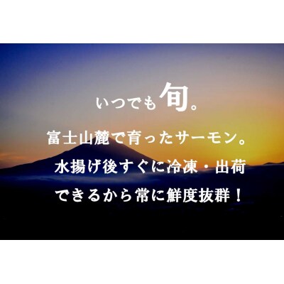 【6月27日(金)発送】日本初!今話題の国産アトランティックサーモン【冷凍】1,100g