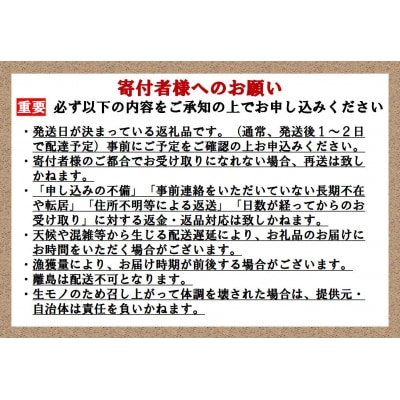 【6月27日(金)発送】日本初!今話題の国産アトランティックサーモン【冷凍】1,100g