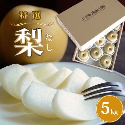 【先行受付中・2025年8月上旬頃より順次発送】旬の品種をお届け! 川添果樹園の特選梨 約5kg