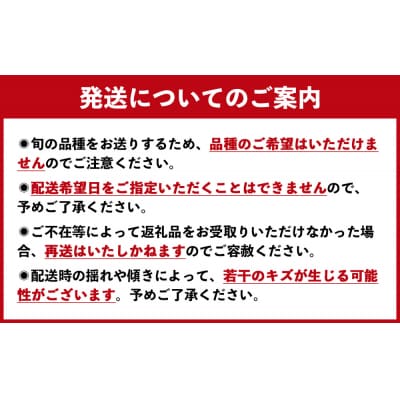 【先行受付中・2025年8月上旬頃より順次発送】旬の品種をお届け! 川添果樹園の特選梨 約3kg