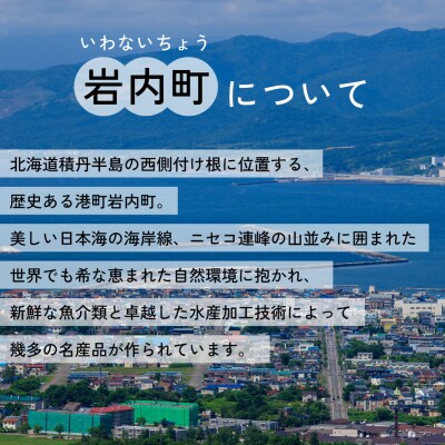 【旧岩内駅】mini駅名標  F21H-528
