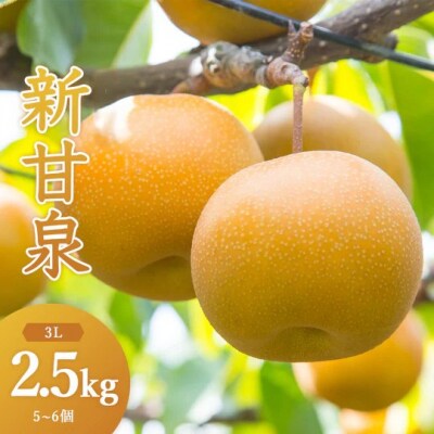 新甘泉(秀) 2.5kg