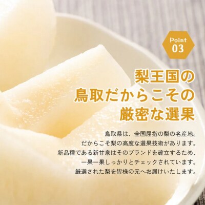 新甘泉(秀) 2.5kg