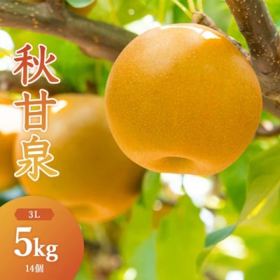 秋甘泉(秀) 5kg(3Lサイズ)(梨・なし)