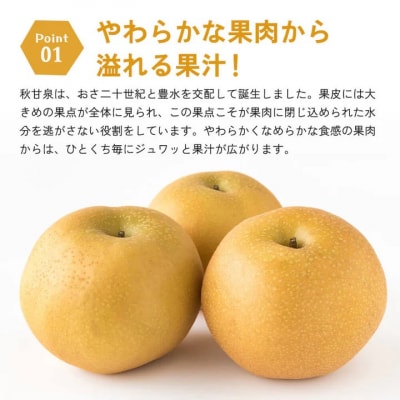 秋甘泉(秀) 5kg(3Lサイズ)(梨・なし)