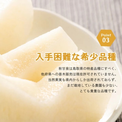 秋甘泉(秀) 5kg(3Lサイズ)(梨・なし)