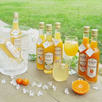 柑橘フルーツシロップ 300ml×7本セット