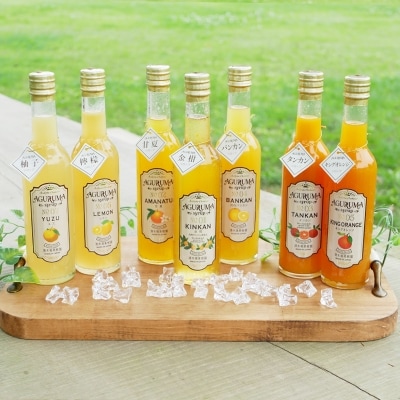 柑橘フルーツシロップ 300ml×7本セット