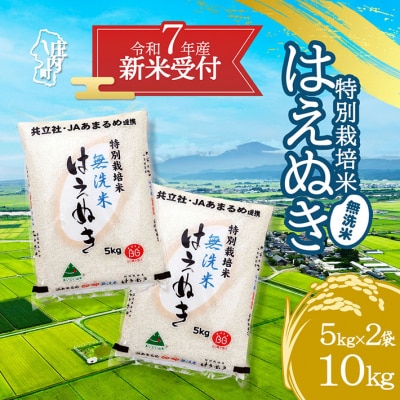 【新米受付 10月発送】R7年産 特別栽培米はえぬき無洗米 10kg(入金期限:2025.9.15)