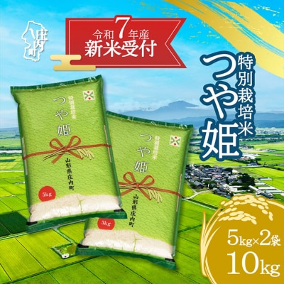 【新米受付 10月発送】R7年産 つや姫 10kg(入金期限:2025.9.15)