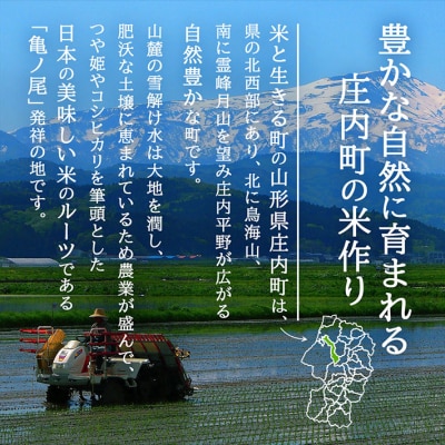 【新米受付 10月発送】R7年産 つや姫無洗米 5kg(入金期限:2025.9.15)