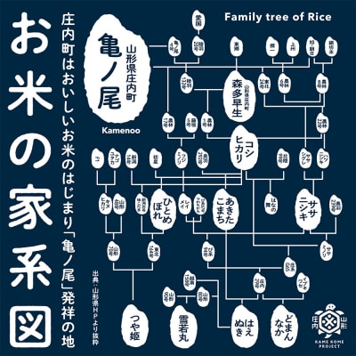 【新米受付 10月発送】R7年産 つや姫無洗米 5kg(入金期限:2025.9.15)