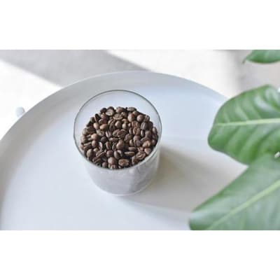 Roast Design Coffee 自家焙煎コーヒー豆3種セット