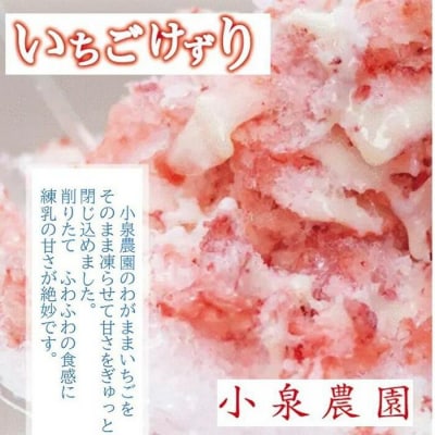 小泉農園ジェラートとイチゴ削り　8個セット 【kw0221-0001】