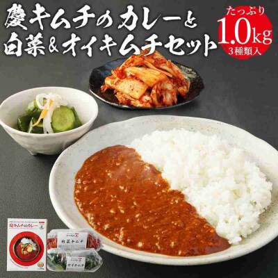 「慶」キムチのカレーと白菜&オイキムチセット