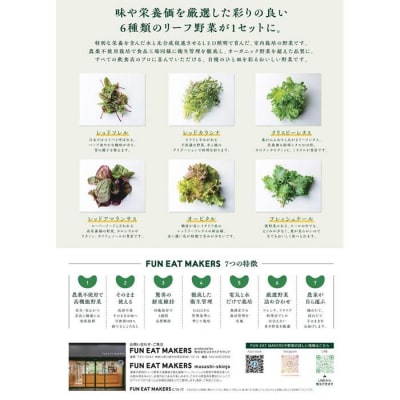 ミシュランシェフ御用達 鮮度2週間 6種リーフ300g