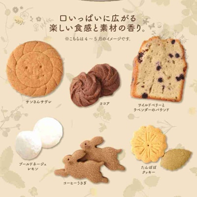 季節の焼き菓子ギフト(L箱)