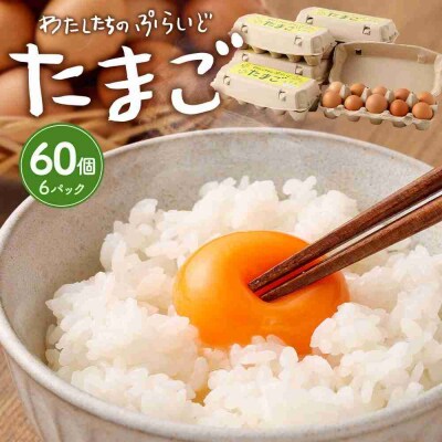 単なる平飼いではないこだわりの卵『わたしたちのぷらいどたまご』6パック(60個)セット