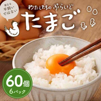 単なる平飼いではないこだわりの卵『わたしたちのぷらいどたまご』6パック(60個)セット