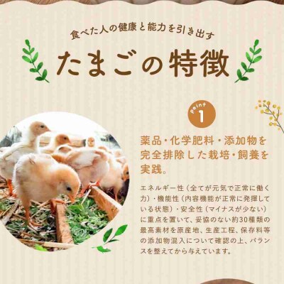 単なる平飼いではないこだわりの卵『わたしたちのぷらいどたまご』6パック(60個)セット