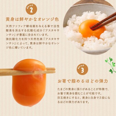 【定期便:6か月】単なる平飼いではないこだの卵『わたしたちのぷらいどたまご』3パック(30個)セット