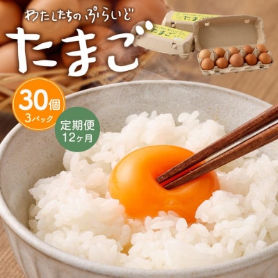 【定期便:12か月】単なる平飼いではないこだわりの卵『わたしたちのぷらいどたまご』3パック(30個)